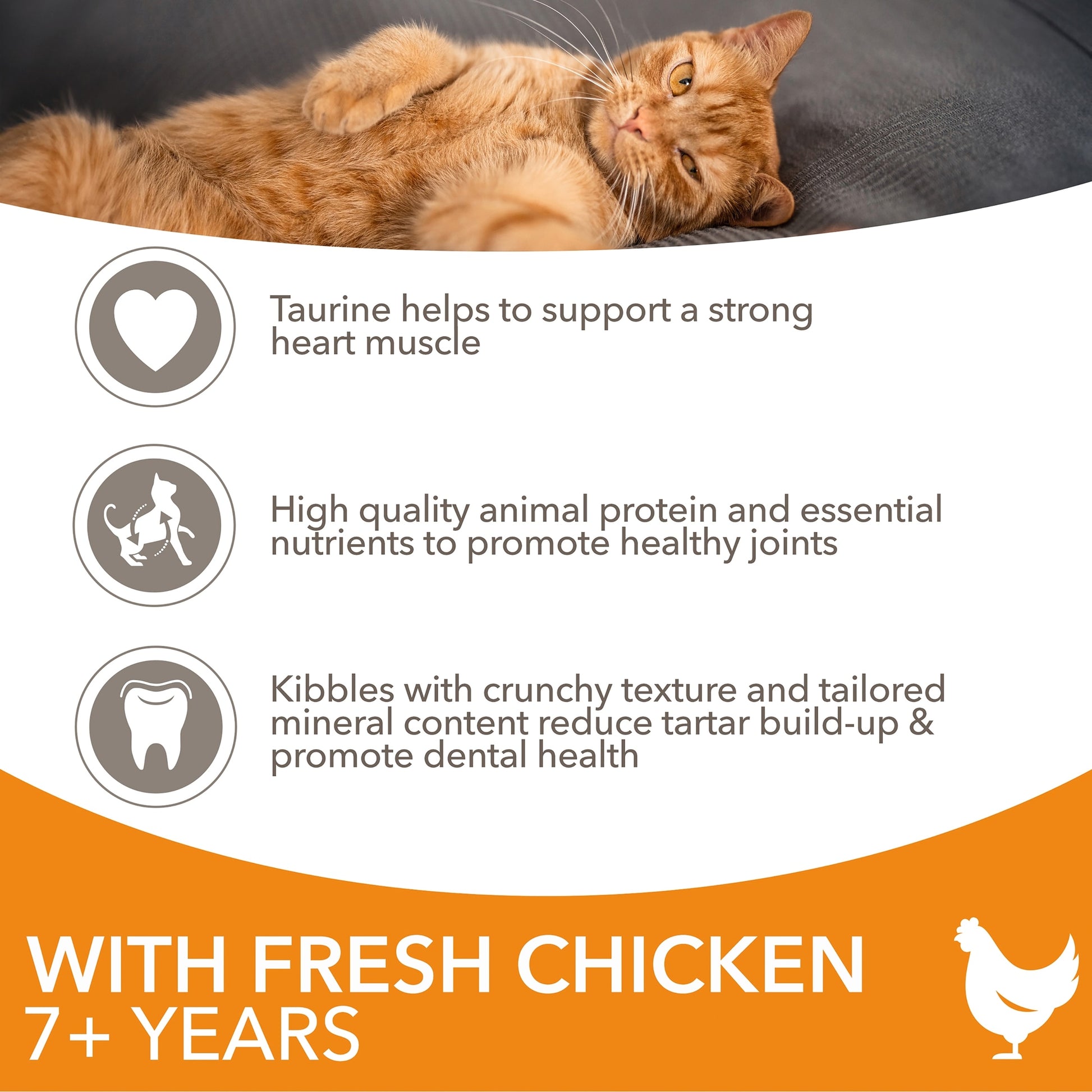Iams Senior Cat Food with Fresh Chicken 2kg — image 2