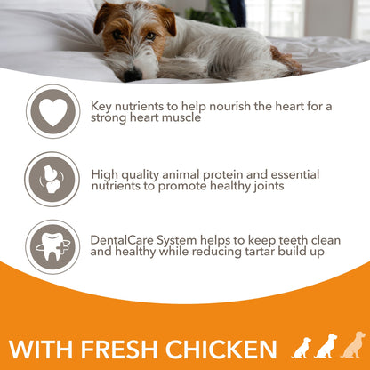 Iams Senior Dog Dry Food Small/Medium Breed With Fresh Chicken 2kg — image 2