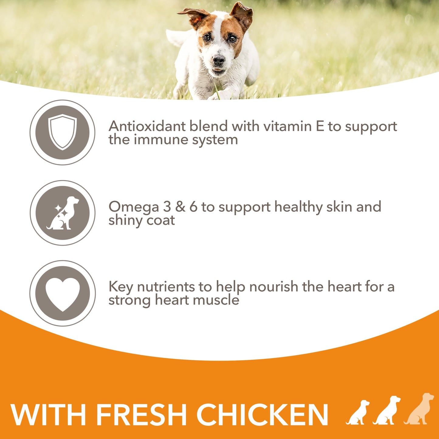 Iams Small Medium Adult Dog Food With Chicken 2Kg — image 2
