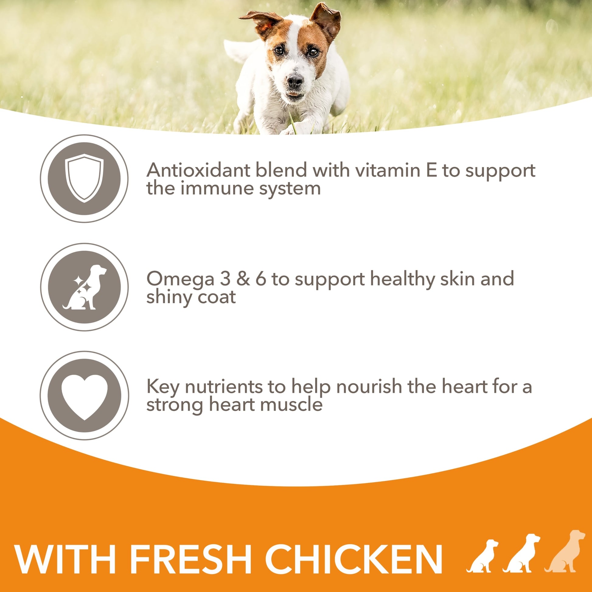 Iams Small Medium Adult Dog Food With Chicken 2Kg — image 2