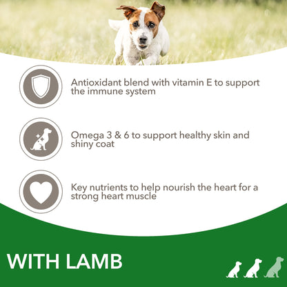 IAMS Small/ Medium Dry Dog Food with Lamb 2kg — image 2