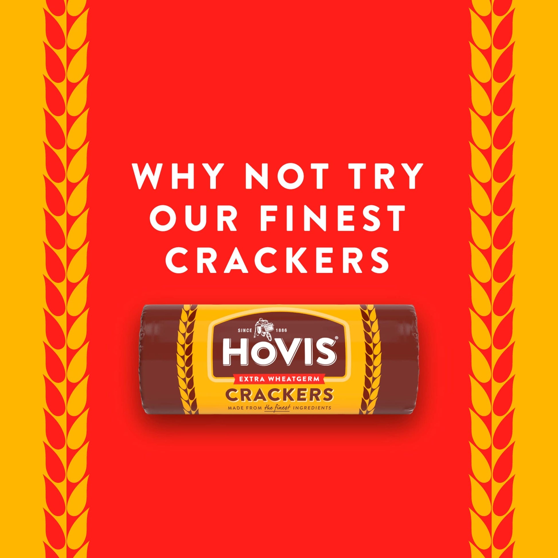 Jacob's Hovis Digestives Biscuits 250G — image 4