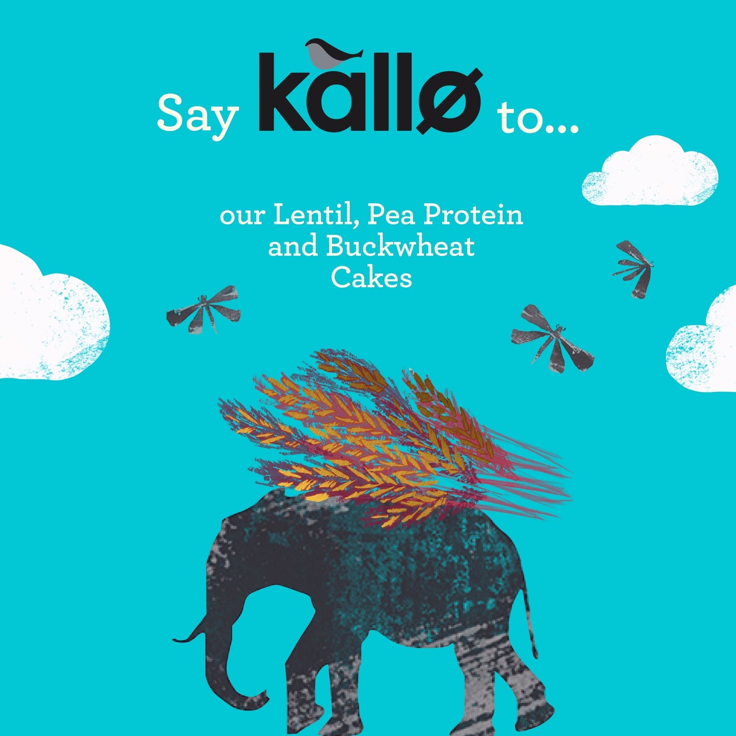 Kallo Protein Lentil Cakes 100G — image 3