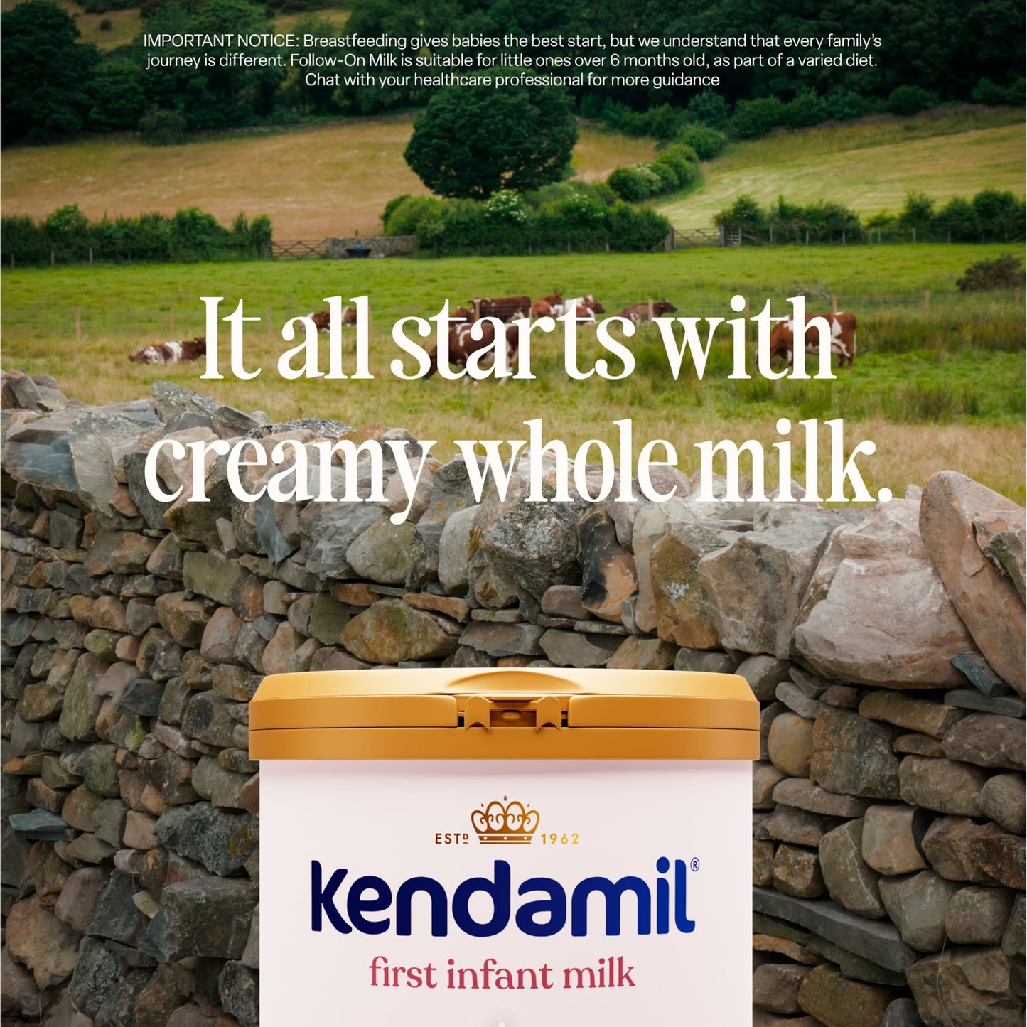 Kendamil First Infant Milk 1 From Birth 800G — image 2