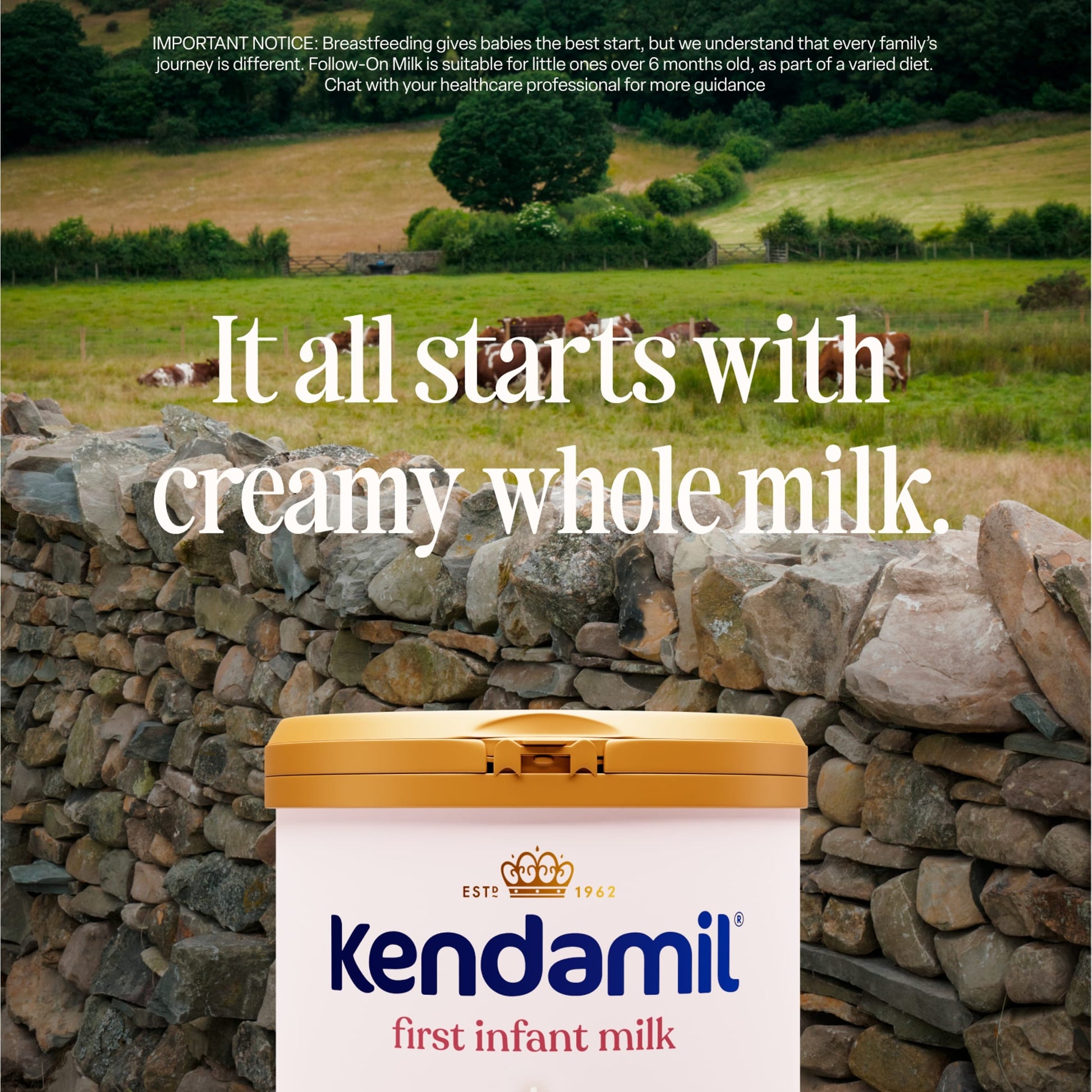 Kendamil First Infant Milk 1 From Birth 800G — image 2
