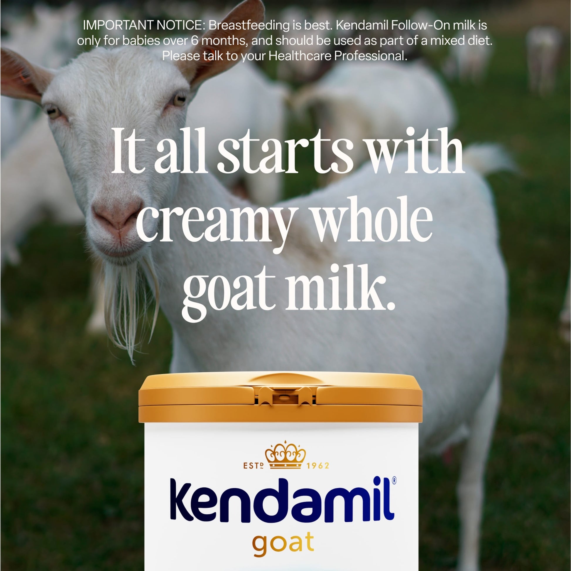 Kendamil Goat Follow-On Milk Stage 2 6-12 Months 800g — image 3