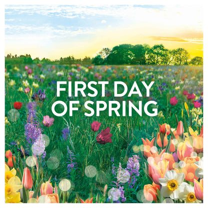 Lenor In-wash Scent Boosters First Day Of Spring 280g