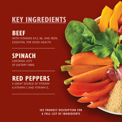 Lily's Kitchen Beef Goulash with Pumpkins, Carrots & Red Peppers for Dogs 400g — image 2
