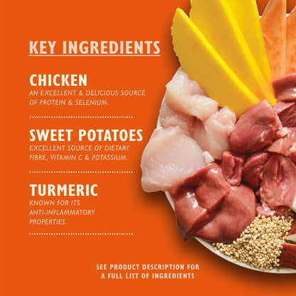 Lily's Kitchen Carnival Chicken with Sweet Potato & Turmeric for Dogs 400g — image 2