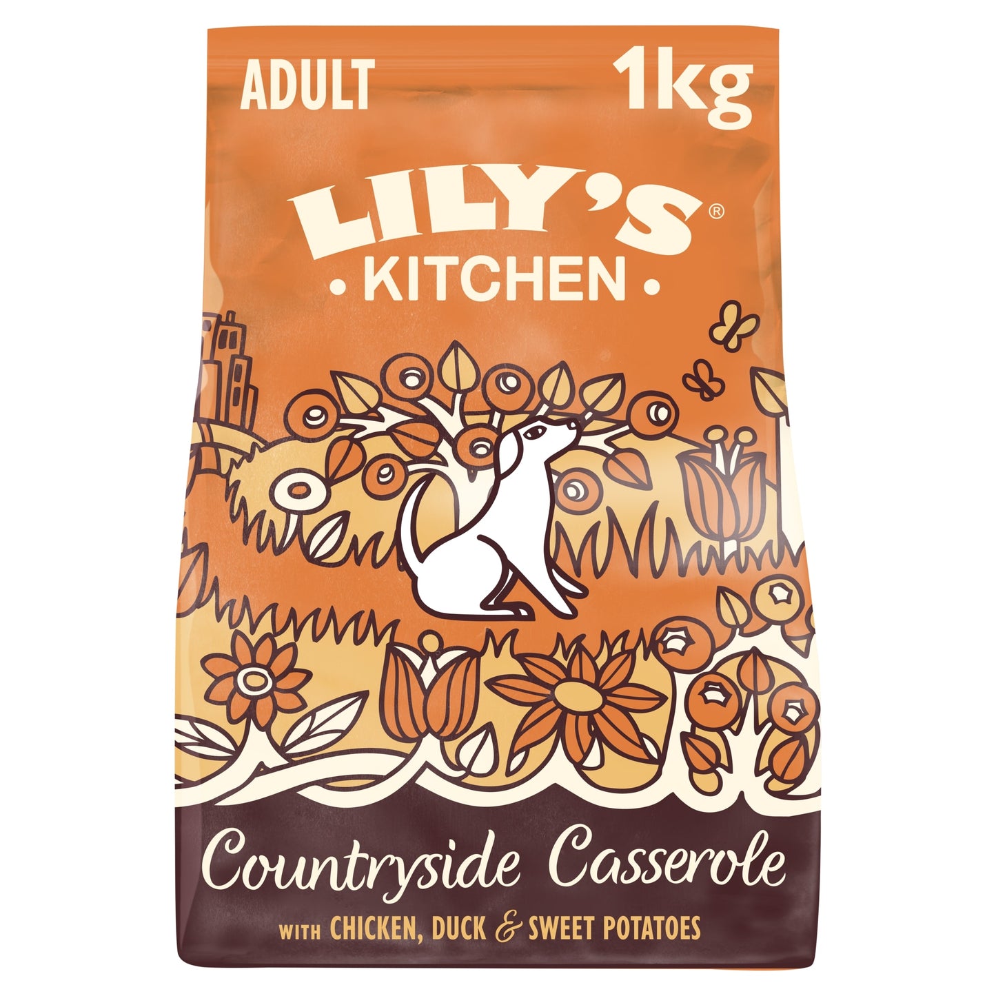 Lily's Kitchen Chicken & Duck Dry Dog Food 1Kg — image 1