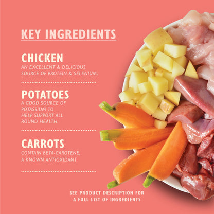 Lily's Kitchen Puppy Recipe with Chicken, Potatoes and Carrots 150g — image 2