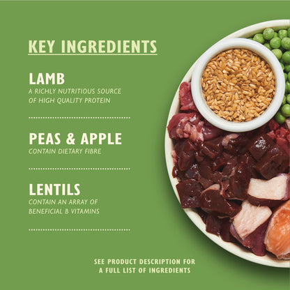 Lily's Kitchen Shepherd's Pie Dry Dog Food - Lamb, Potatoes & Parsley 2.5kg — image 2