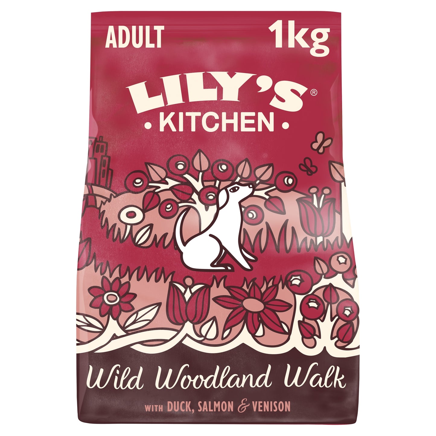 Lily's Kitchen Wild Walk Dry Dog Food 1Kg — image 1