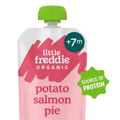 Little Freddie Organic Salmon Pie Baby Food Pouch 7+ Months 120g — image 1