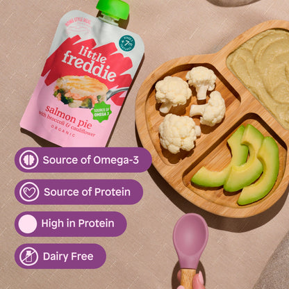 Little Freddie Organic Salmon Pie Baby Food Pouch 7+ Months 120g — image 5