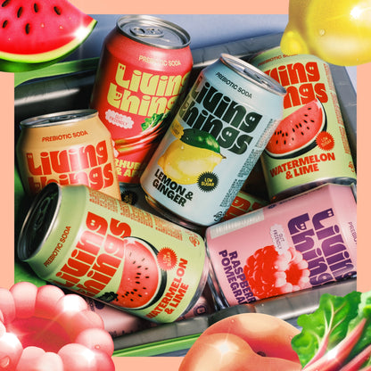 Living Things Peach & Blood Orange Soda 4x 330ml — image 4