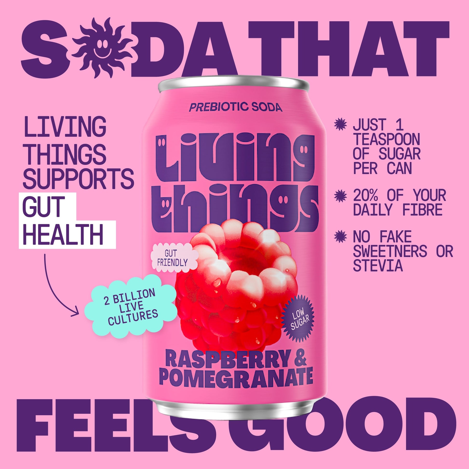 Living Things Raspberry & Pomegranate Soda 4x 330ml — image 3