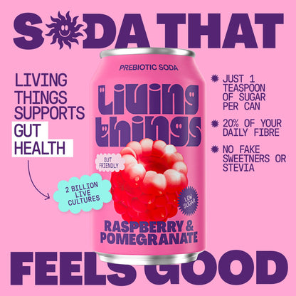 Living Things Raspberry & Pomegranate Soda 4x 330ml — image 3