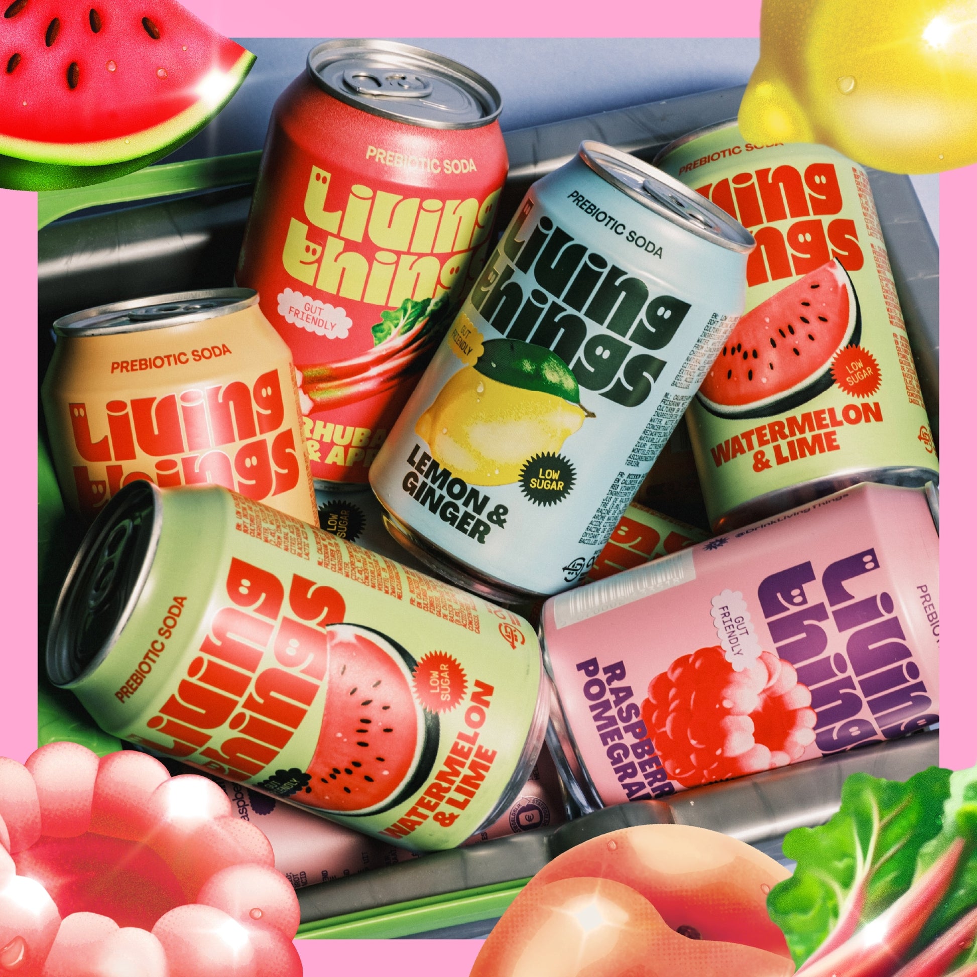 Living Things Raspberry & Pomegranate Soda 4x 330ml — image 4