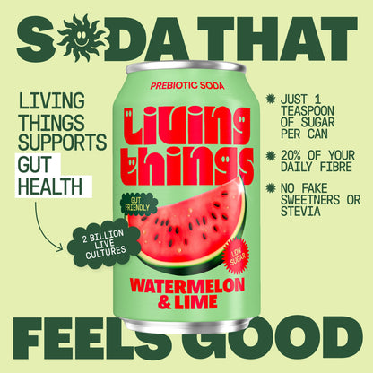 Living Things Watermelon & Lime Soda 4x 330ml — image 3