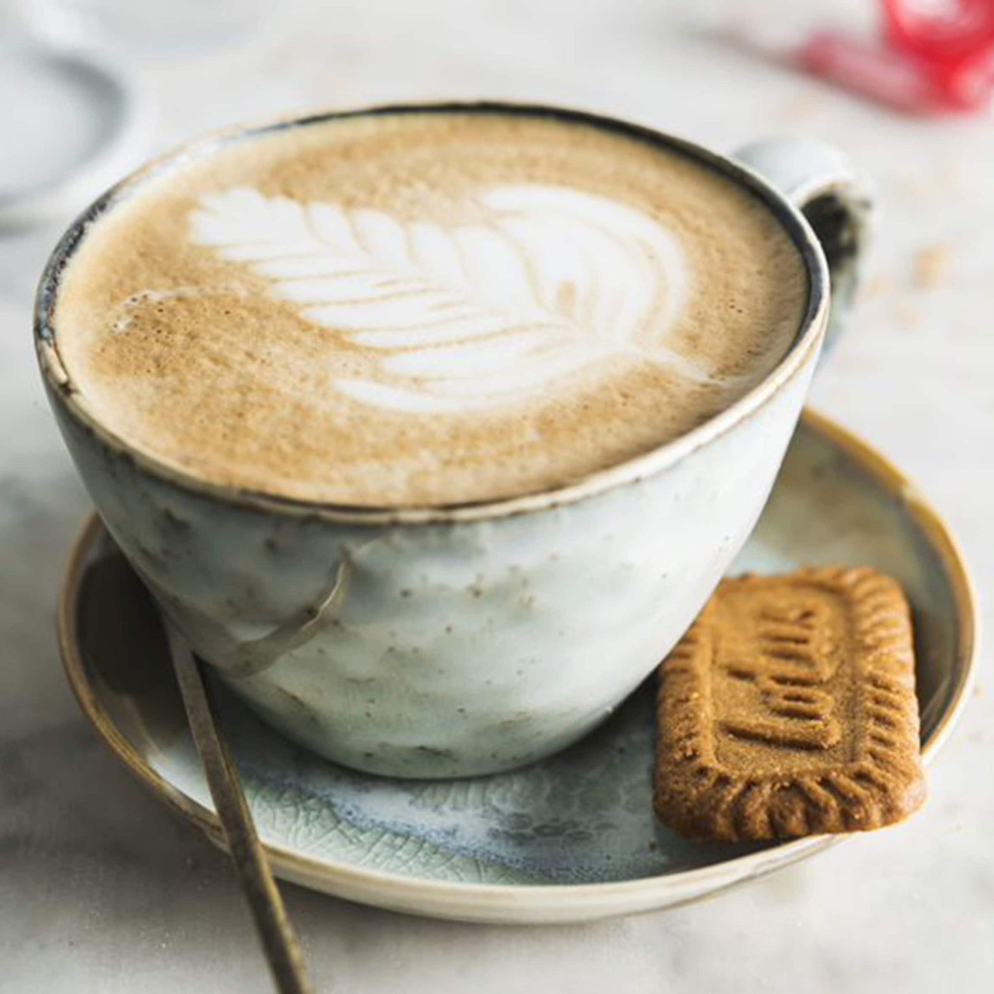 Lotus Biscoff Snack Pack 248G — image 2