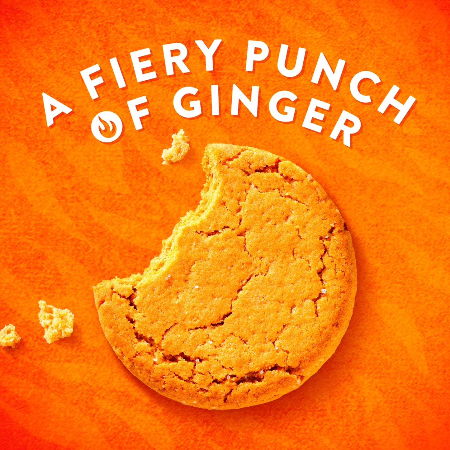 McVitie's Ginger Nuts Biscuits 250g — image 3
