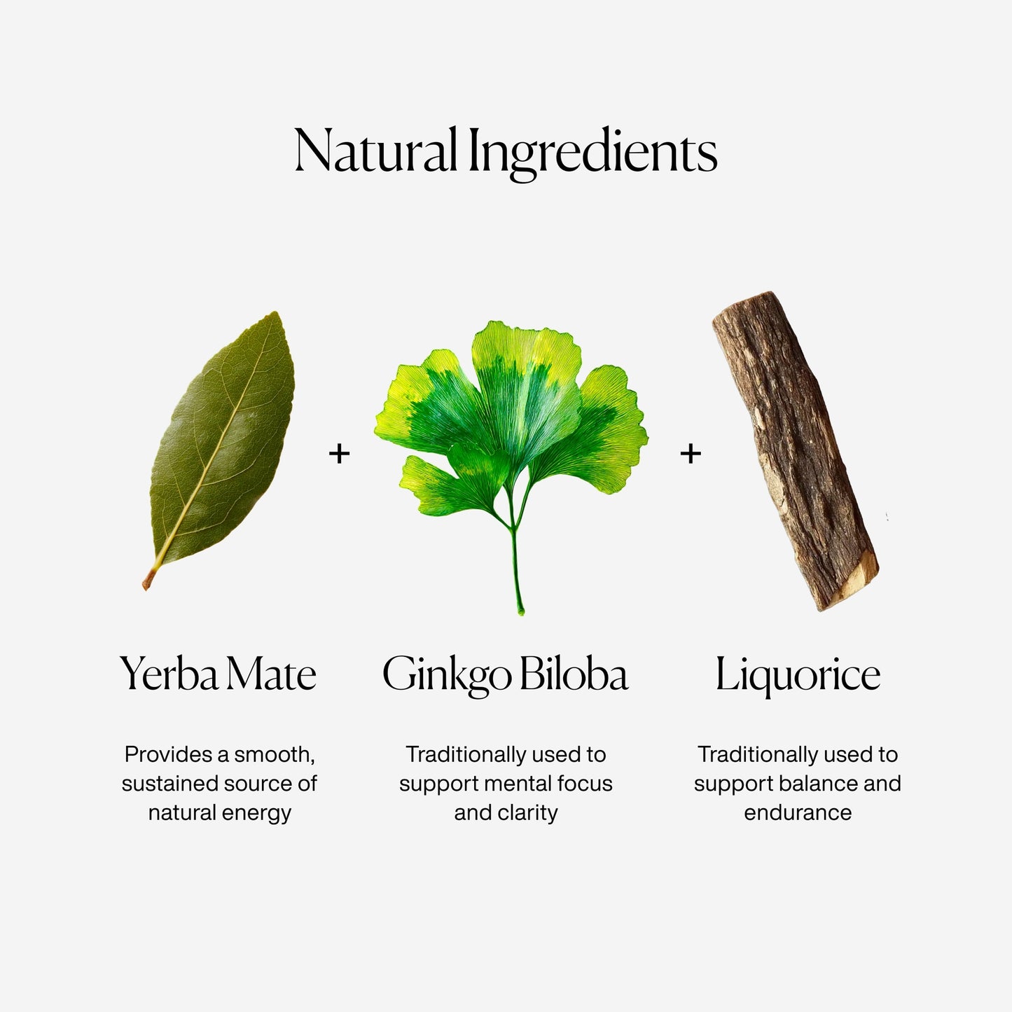 MISSION Focus Yerba Mate with Liquorice, Peppermint 15 Tea Bags 30g — image 4