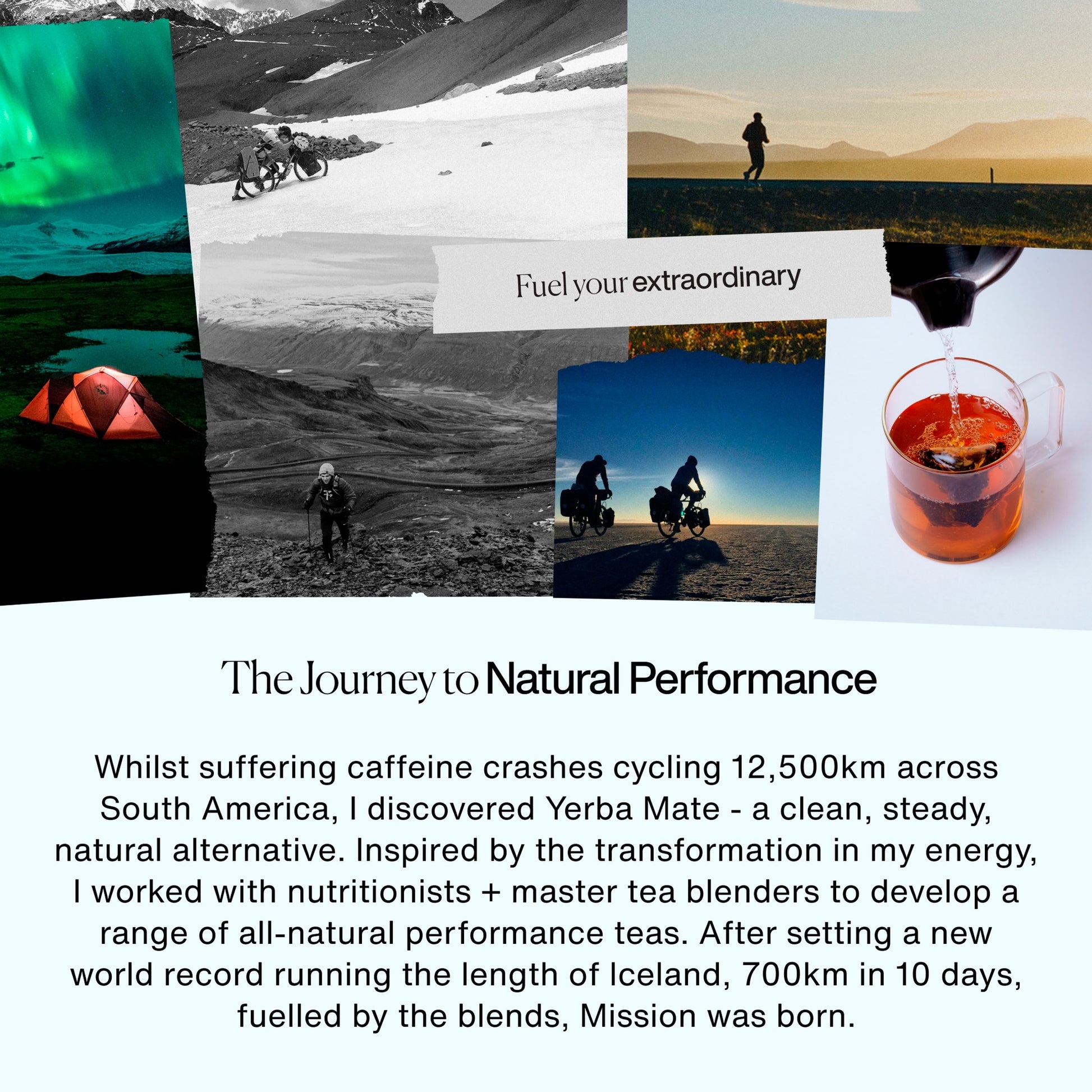 MISSION Perform Yerba Mate with Green Tea, Spearmint 15 Tea Bags 30g — image 3