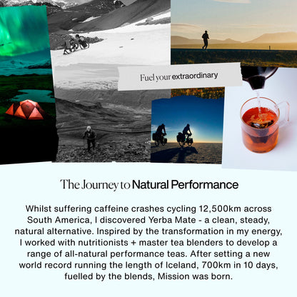 MISSION Perform Yerba Mate with Green Tea, Spearmint 15 Tea Bags 30g — image 3