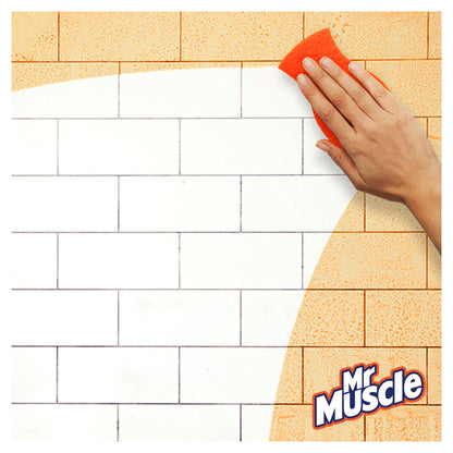 Mr Muscle Platinum Kitchen Citrus 750Ml — image 5
