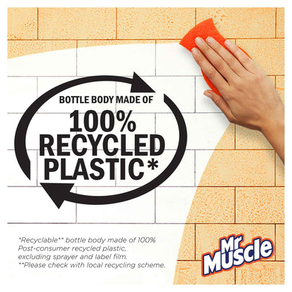 MR MUSCLE Platinum Window & Glass 750ml