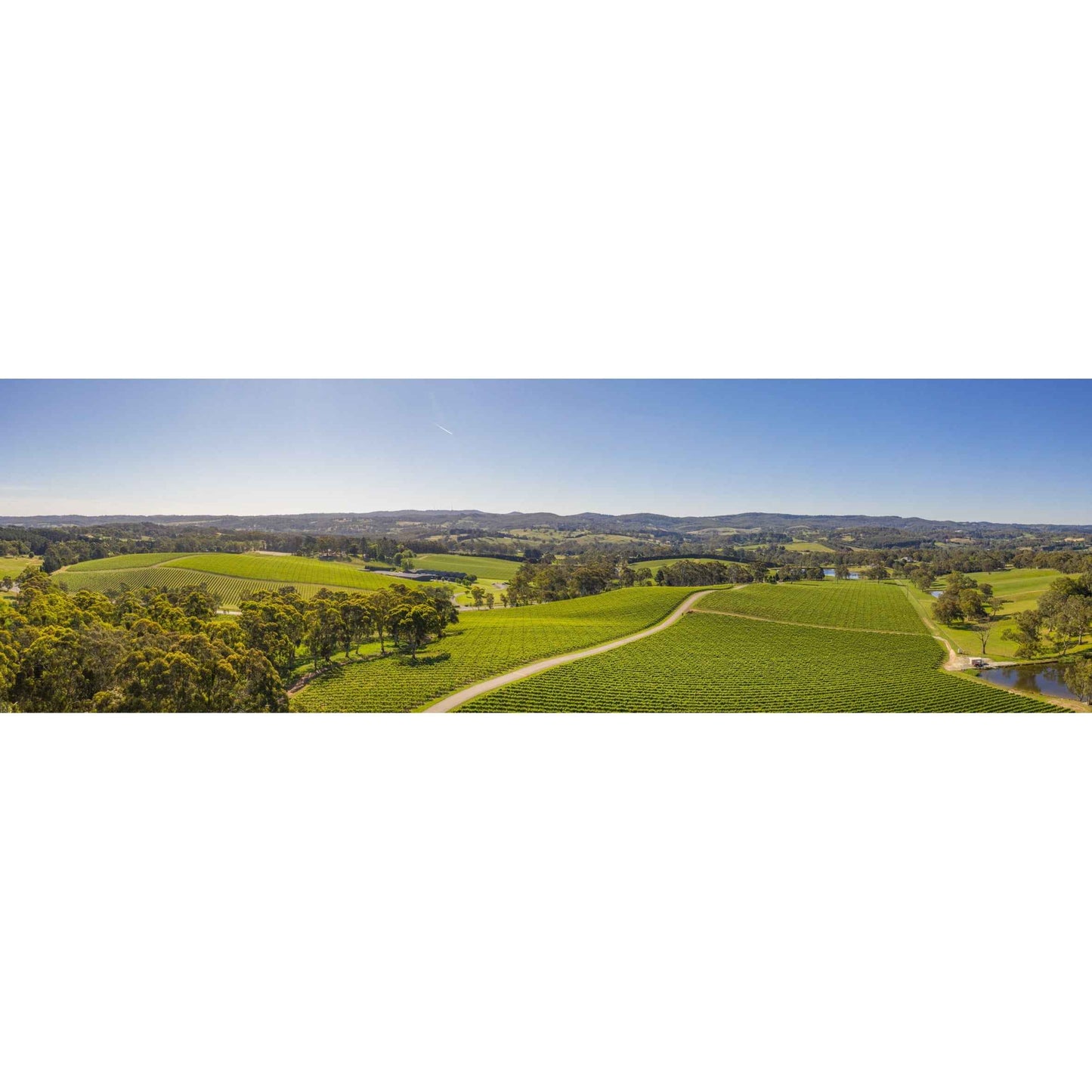 NEPENTHE Adelaide Hills Dolcetto 750ml
