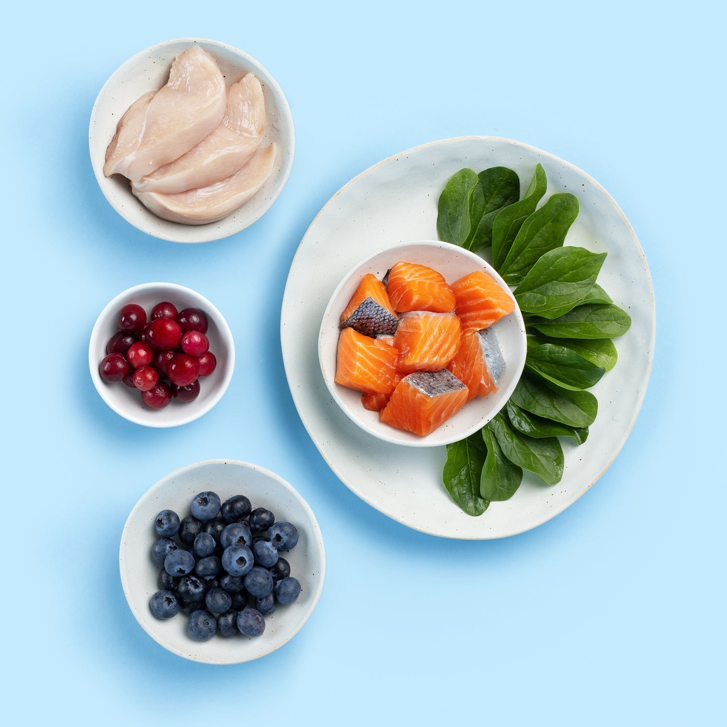 Nood Cat 7+ Senior Dinner Chicken Salmon In Jelly 8X85g — image 3