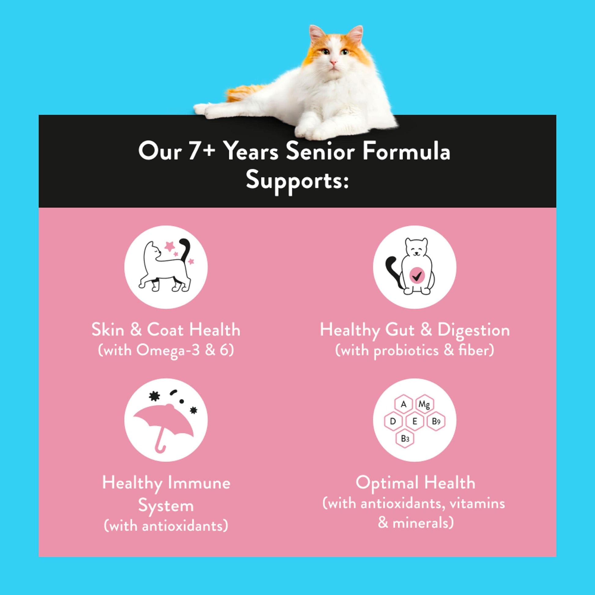 Nood Cat Food 7+ Senior Formula 800G — image 2