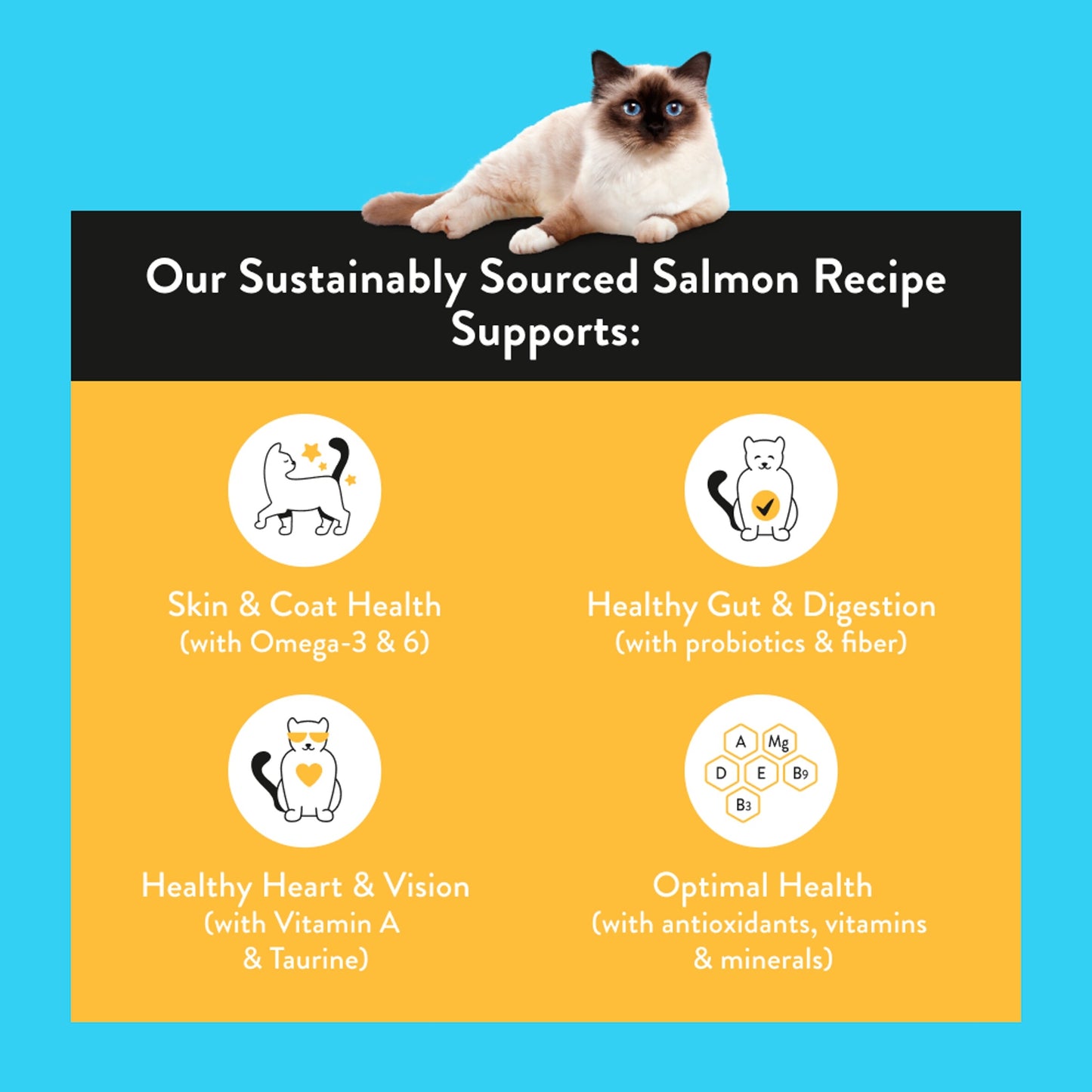 Nood Cat Food Salmon Recipe 3Kg — image 2
