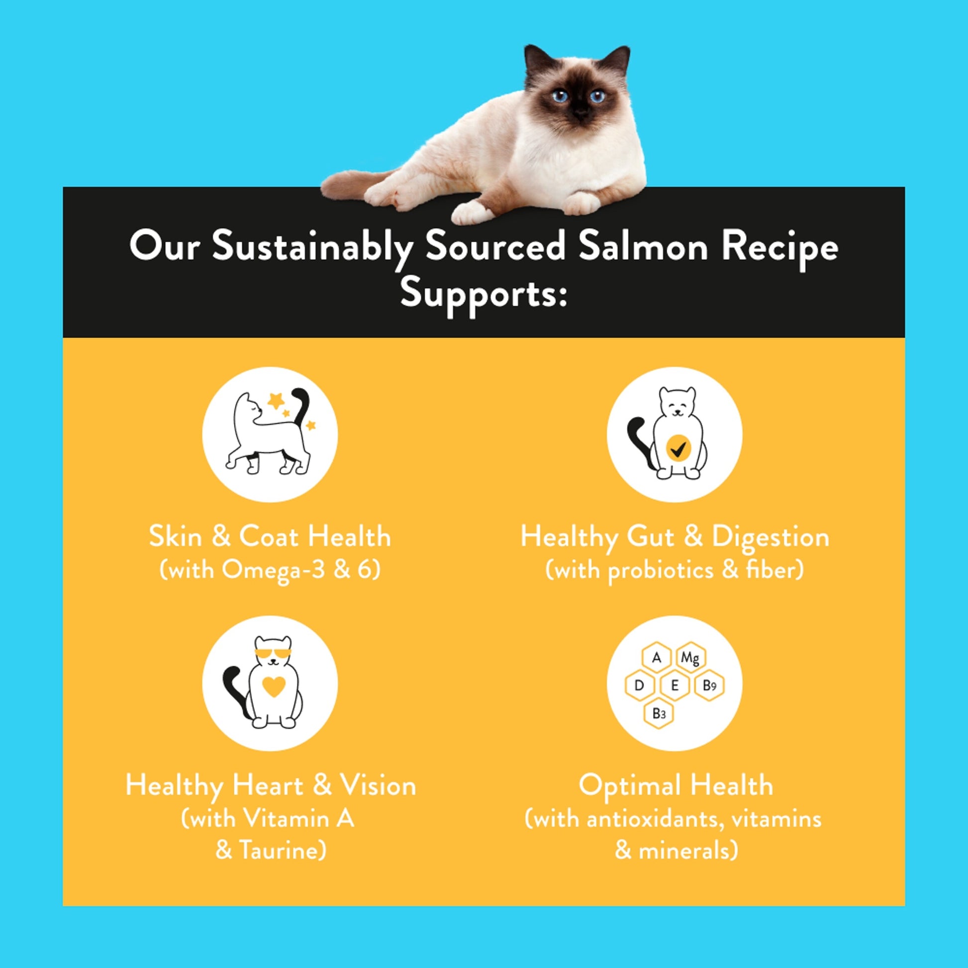 Nood Cat Food Salmon Recipe 3Kg — image 2
