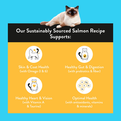 Nood Cat Food Salmon Recipe 3Kg — image 2