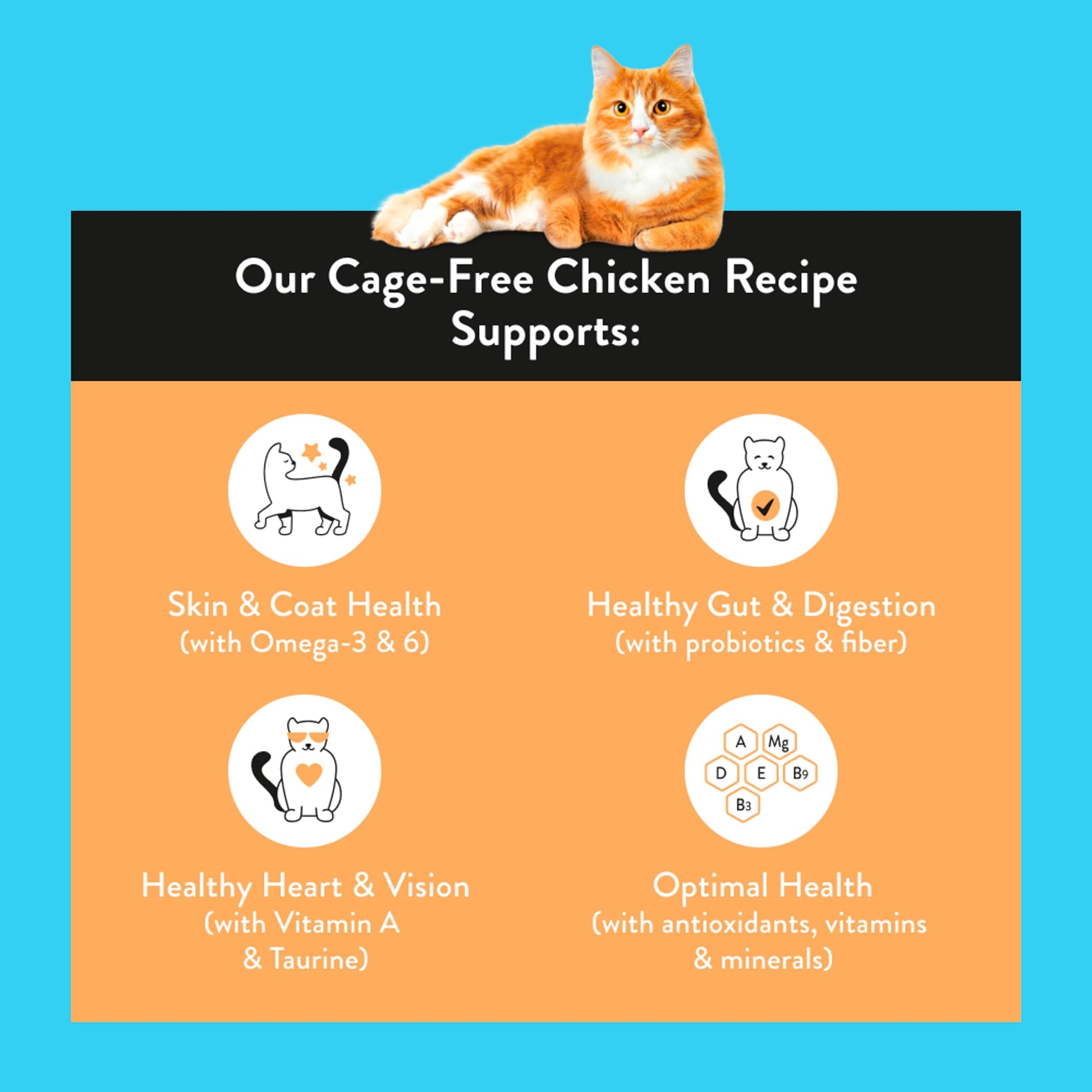 Nood Cat Premium Cage Free Chicken 3Kg — image 2