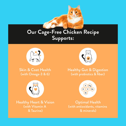 Nood Cat Premium Cage Free Chicken Recipe 800G — image 2