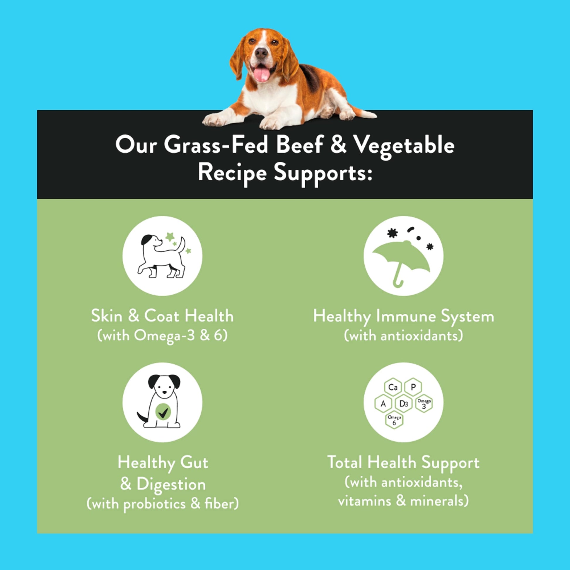 Nood Dog Food Beef Recipe 1.42Kg — image 2