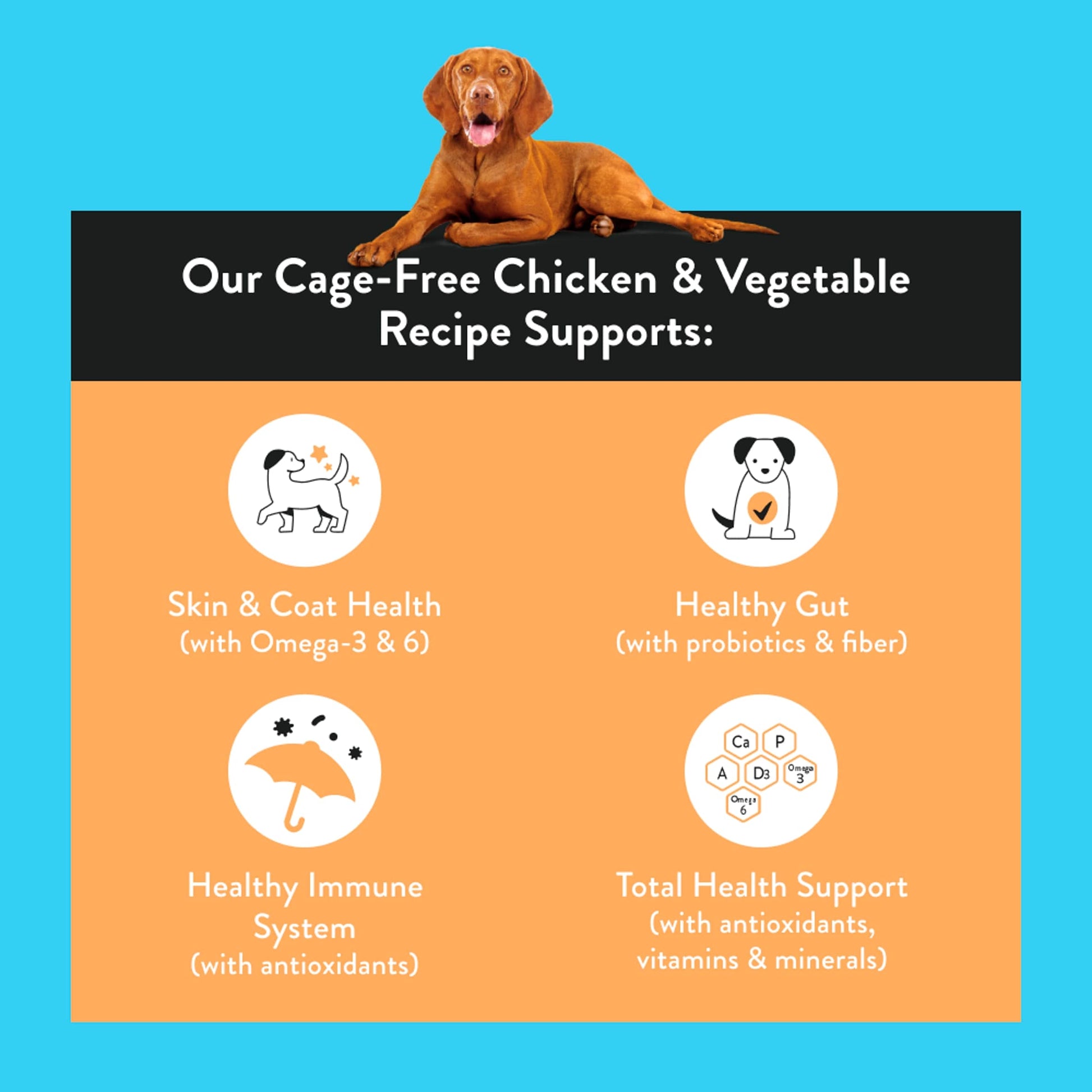 Nood Dog Premium Cage Free Chicken Recipe 3 Kilograms — image 2