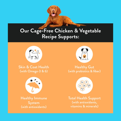Nood Dog Premium Cage Free Chicken Recipe 3 Kilograms — image 2