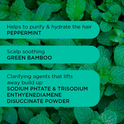 Noughty Detox Dynamo Clarifying Shampoo 250ml — image 3