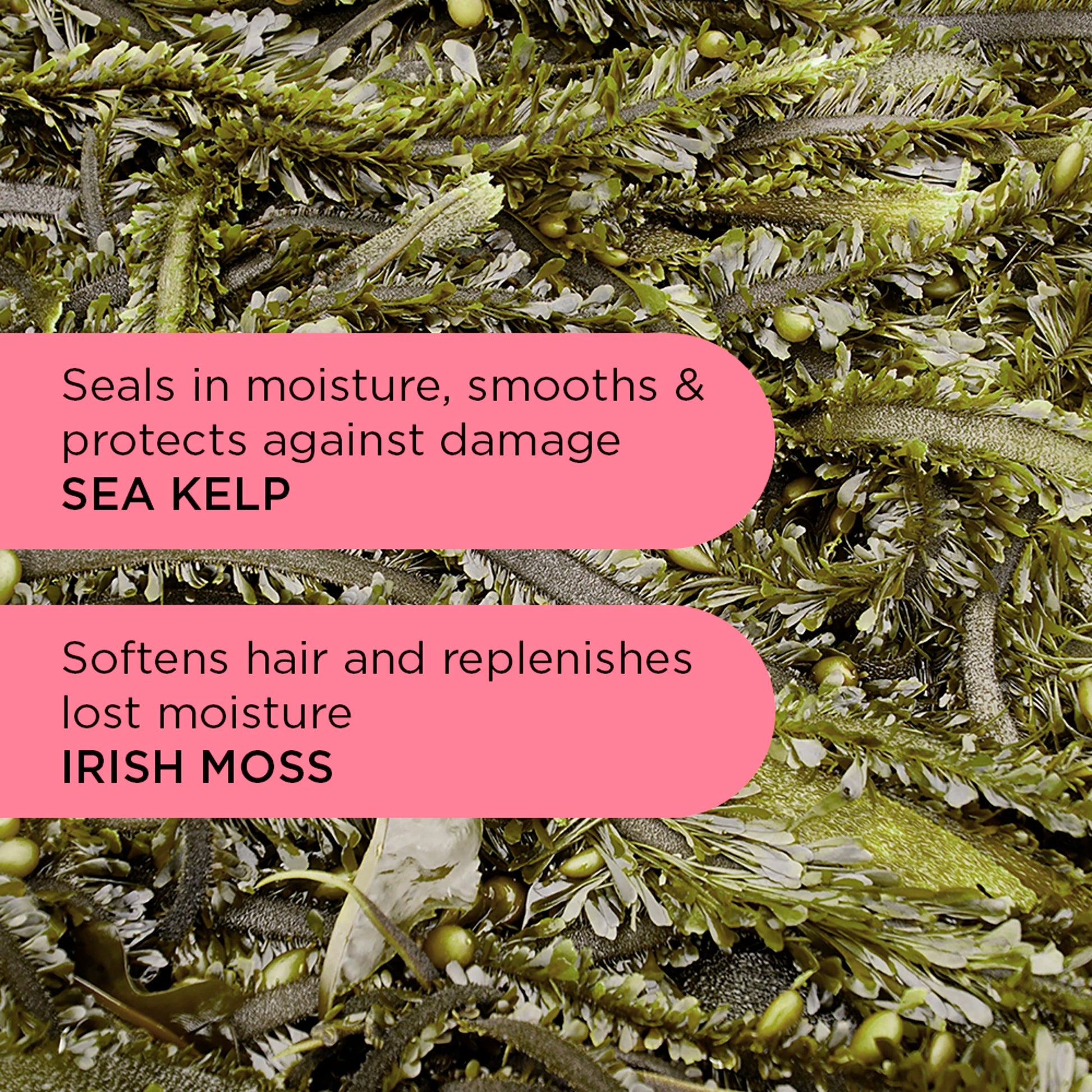 Noughty Wave Curl Scrunching Jelly 200Ml — image 4