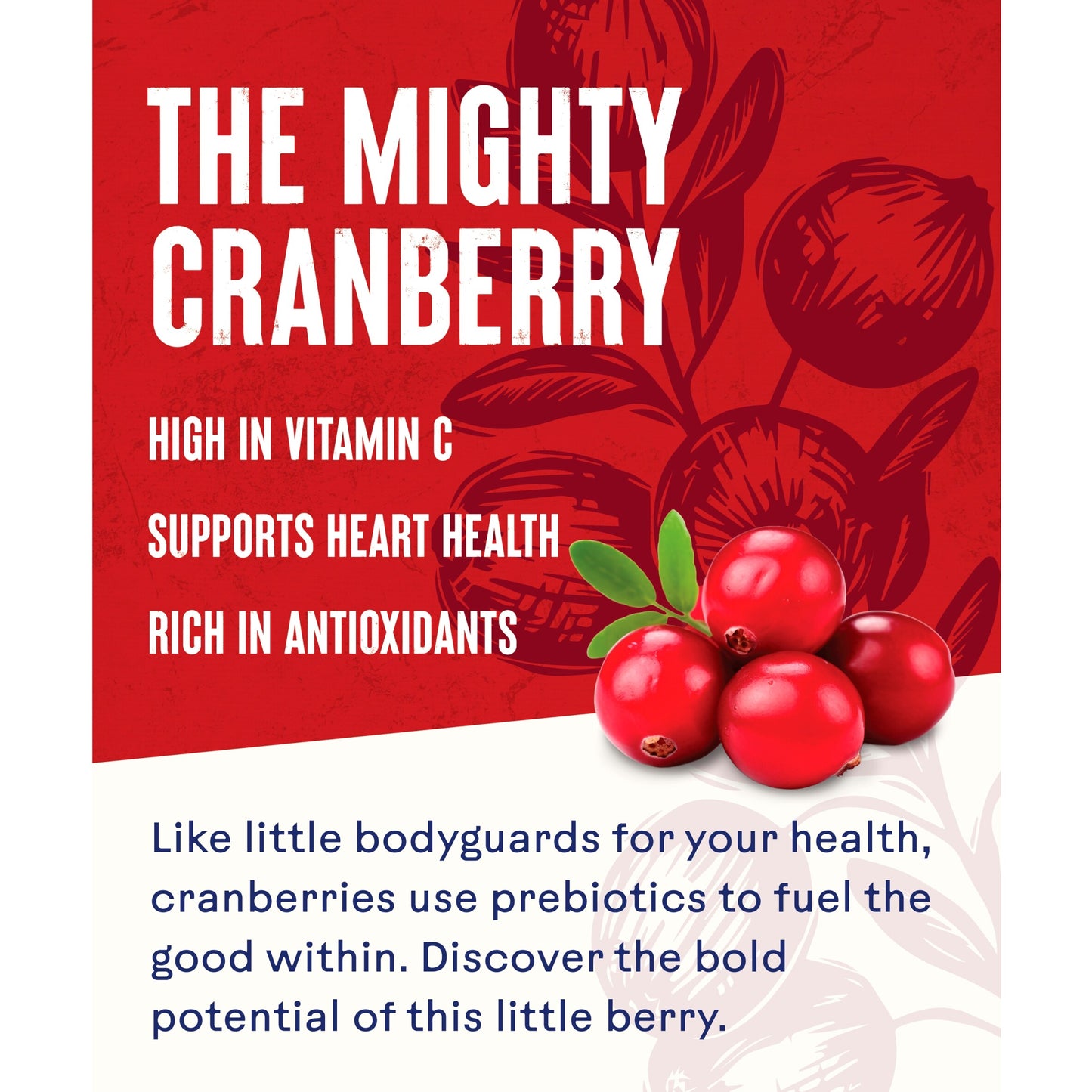 Ocean Spray Cranberry Classic Juice Drink 4 X 1 Litre — image 2