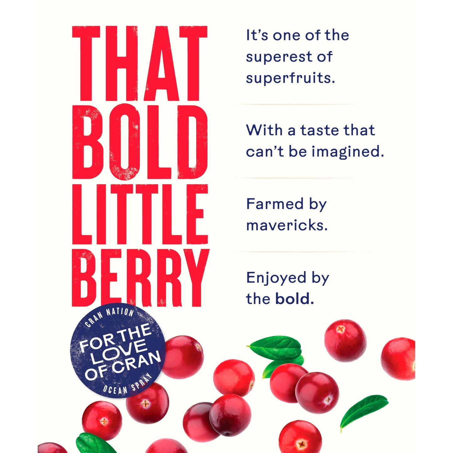 Ocean Spray Cranberry Classic Light Juice Drink 1 Litre — image 5