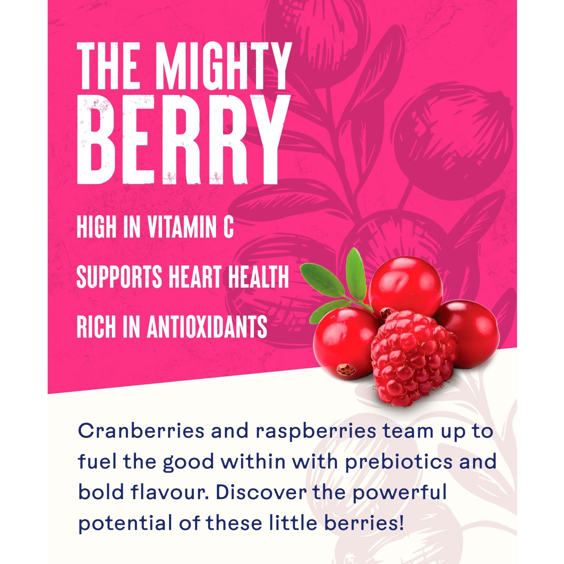 Ocean Spray Cranberry & Raspberry Juice Drink 1 Litre — image 2