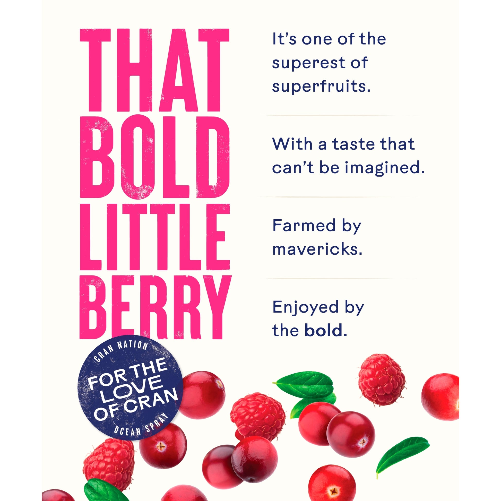 Ocean Spray Cranberry & Raspberry Juice Drink 1 Litre — image 5