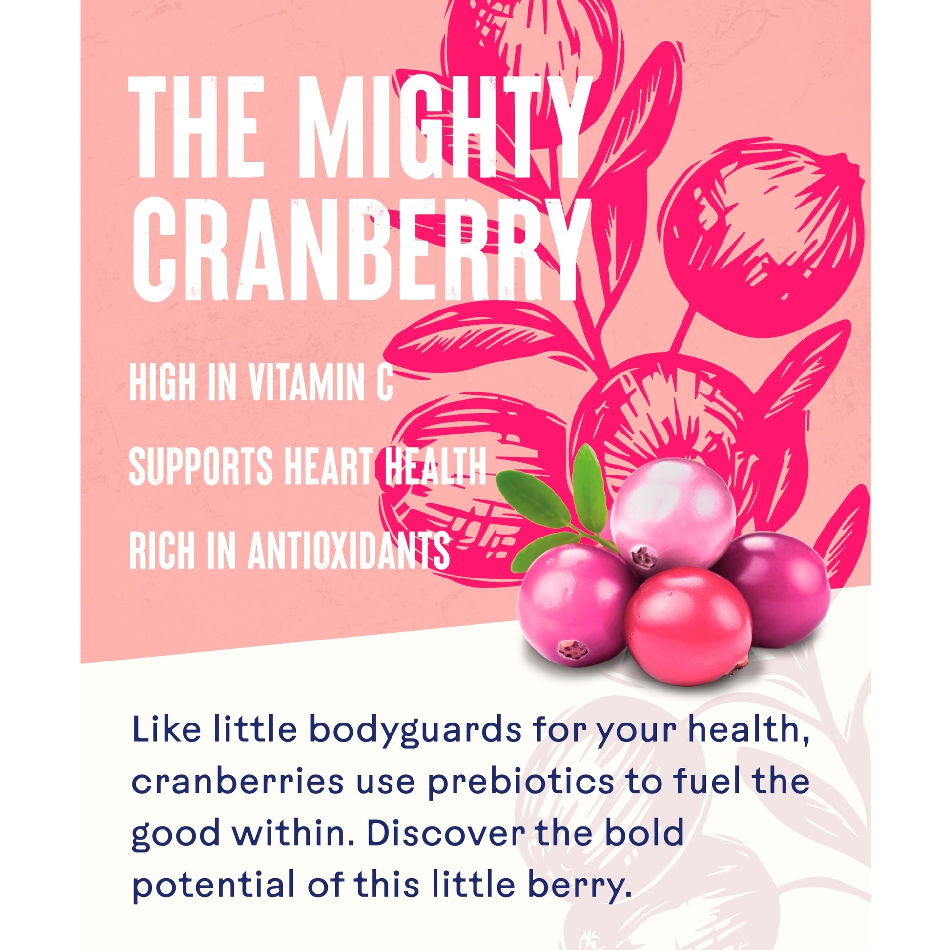 Ocean Spray No Added Sugar Pink Cranberry Juice Drink 1 Litre — image 2