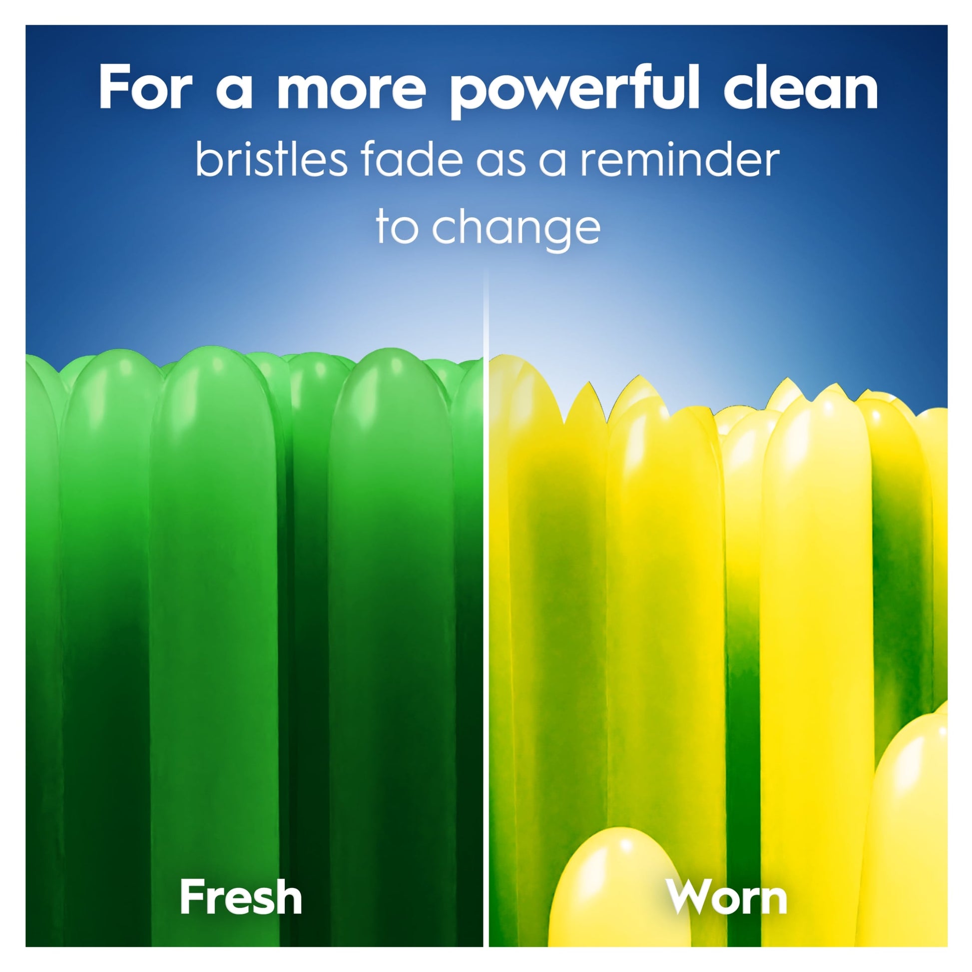 Oral-B Pro Clean Medium Toothbrush 2 Pack — image 2